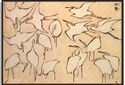 Flash Sale Aigrettes - Hokusai Hokusai