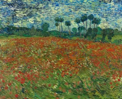 Cheap Champs de coquelicots - Vincent Van Gogh Van Gogh