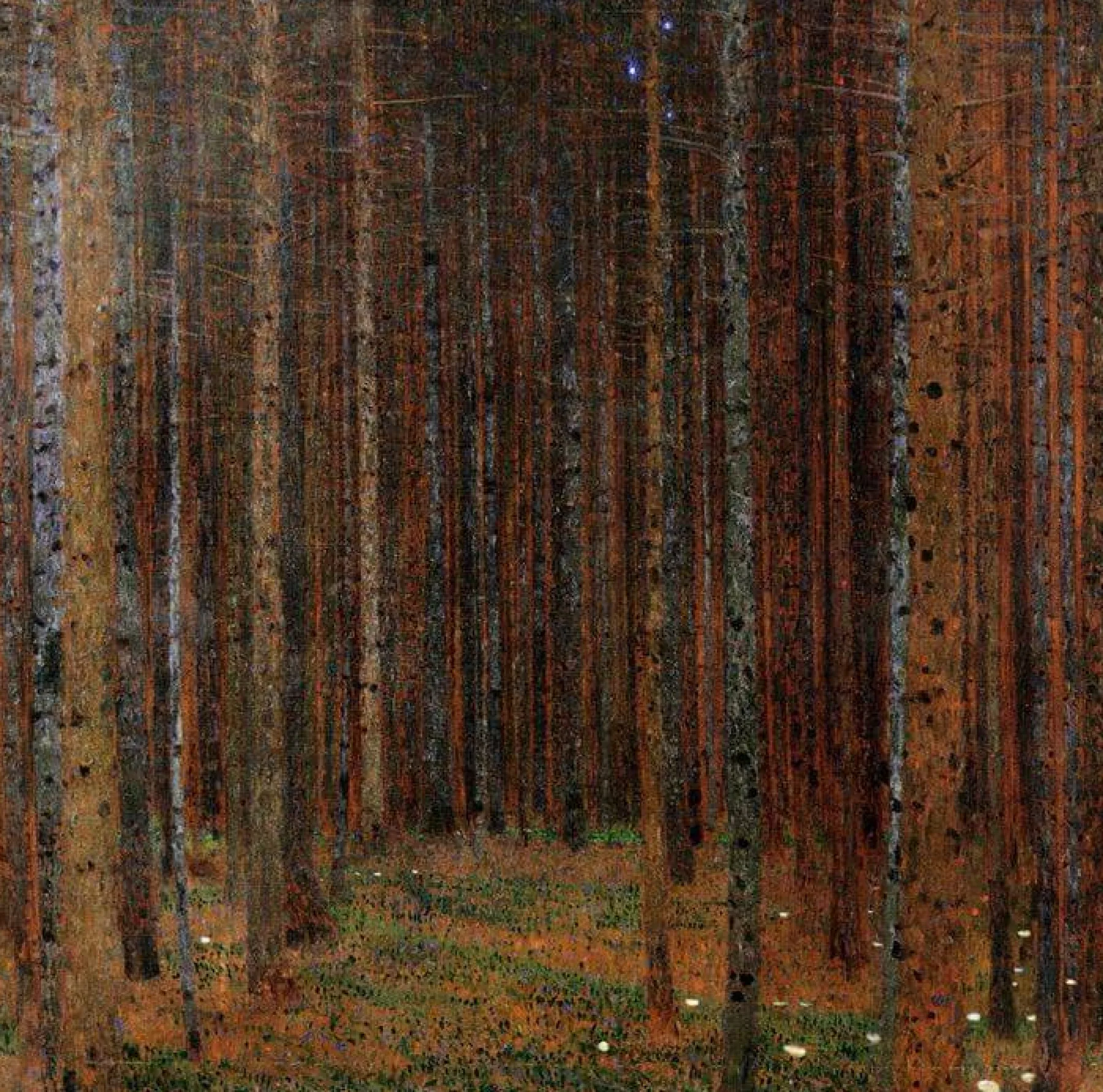 Shop Forêt de Sapins - Gustav Klimt Klimt