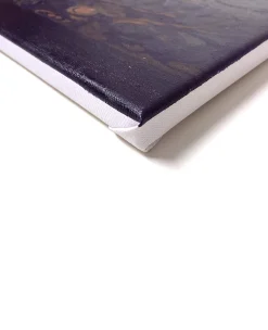 Online L'Astronome - Johannes Vermeer Vermeer