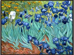 Fashion Les Iris - Vincent Van Gogh Van Gogh