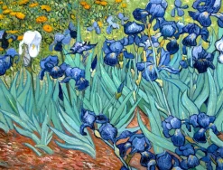 Fashion Les Iris - Vincent Van Gogh Van Gogh