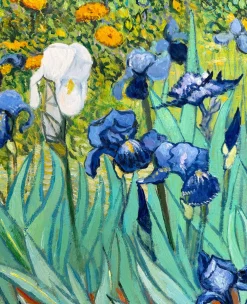 Fashion Les Iris - Vincent Van Gogh Van Gogh