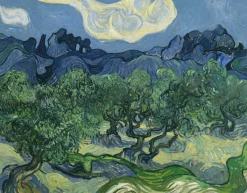 Discount Oliviers avec les Alpilles en arrière-plan - Vincent Van Gogh Van Gogh