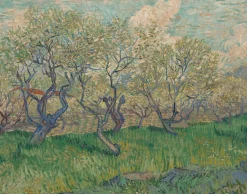 Shop Verger en fleurs - Vincent Van Gogh Van Gogh